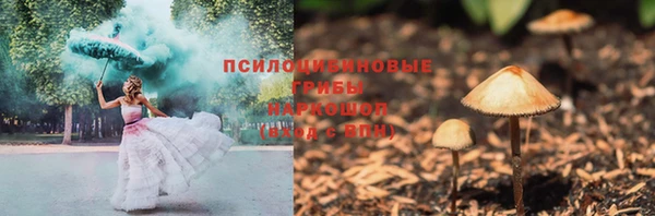 СК Нефтекумск