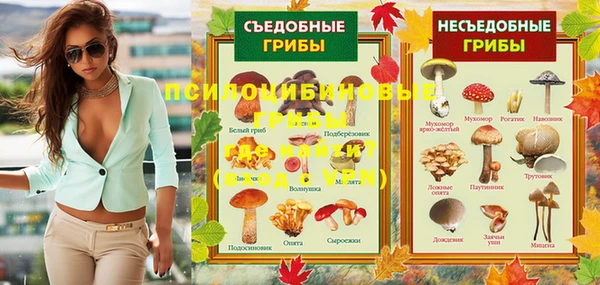 дмт Нея