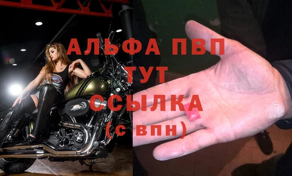 дмт Нея
