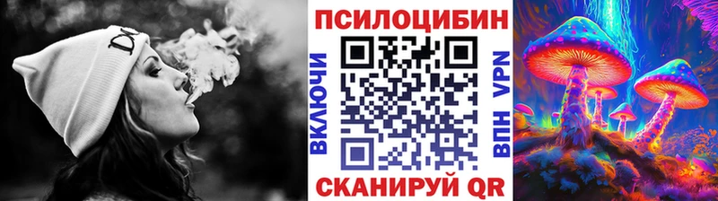 ссылка на мегу tor  Партизанск  Псилоцибиновые грибы мухоморы  что такое  